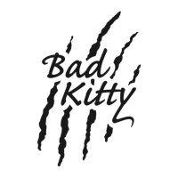 Bad Kitty