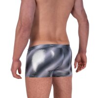 Manstore M2324 Micro Pants Badehose silver