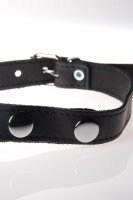 Leder-Latex RINGKNEBEL