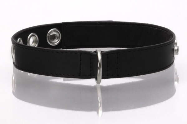Venus Leder Halsband lockup